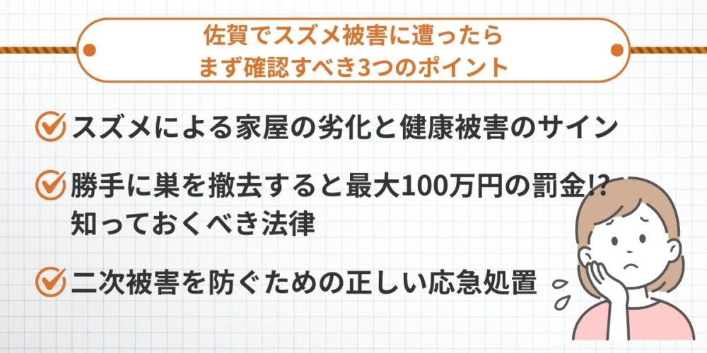 佐賀でスズメ被害に遭ったらまず確認すべき3つのポイント