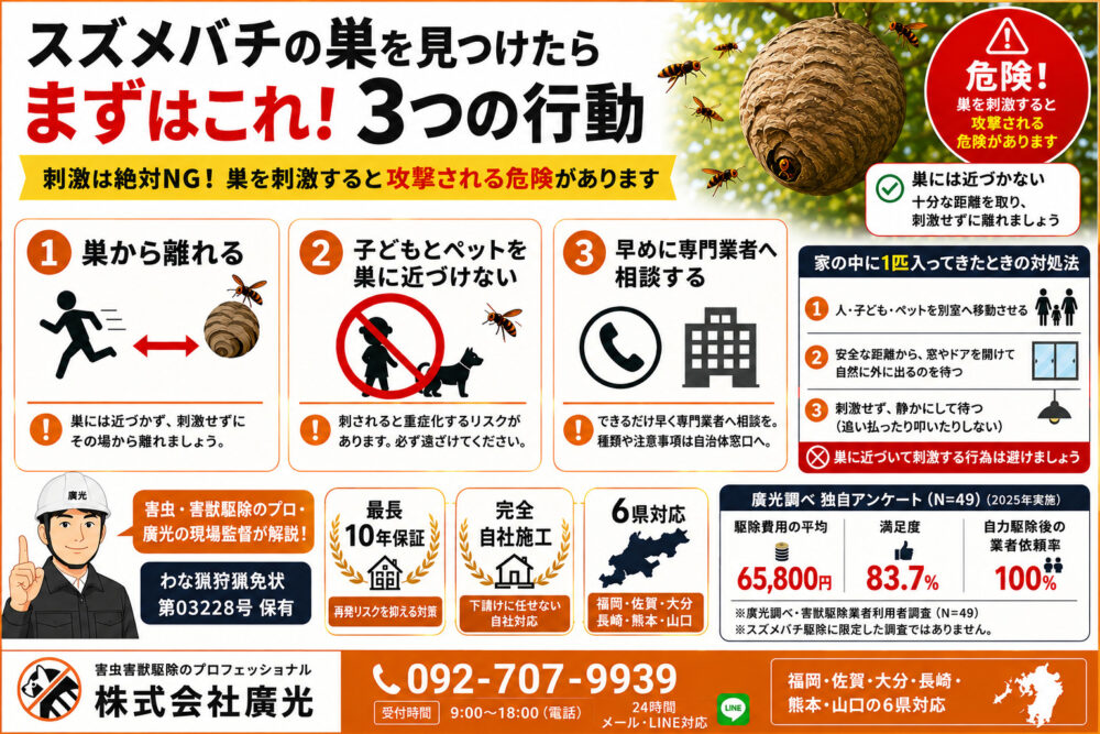 スズメバチの巣を見つけたらどうする？対処法と見分け方・費用の目安