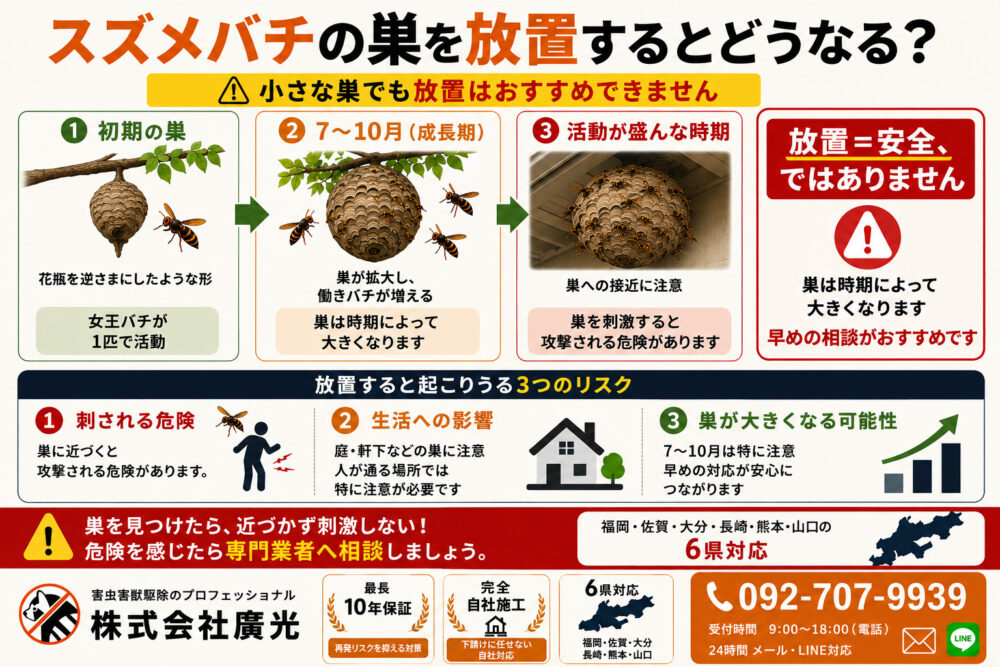 スズメバチの巣を放置するとどうなる?
