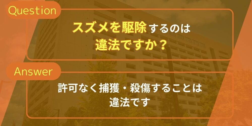 スズメを駆除するのは違法ですか？