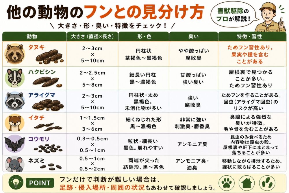 他の動物のフンとの見分け方