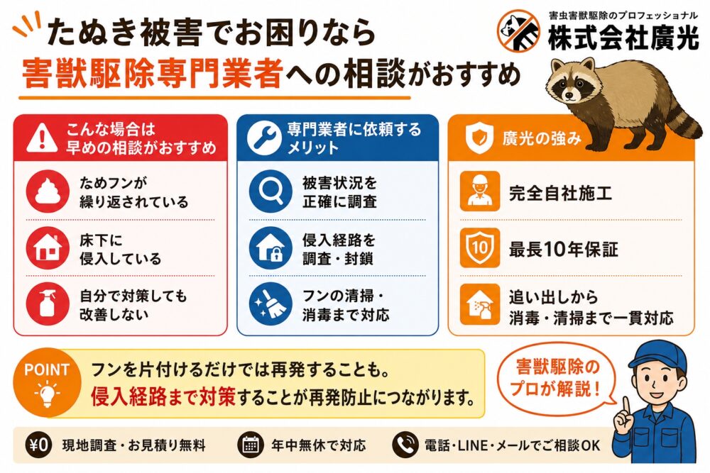 たぬき被害でお困りなら害獣駆除専門業者への相談がおすすめ