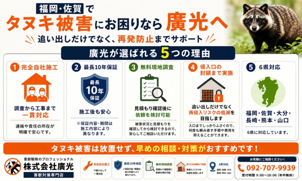 福岡・佐賀でタヌキ被害にお困りなら廣光へ