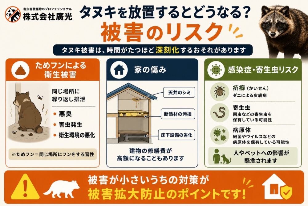 タヌキを放置するとどうなる？被害のリスク