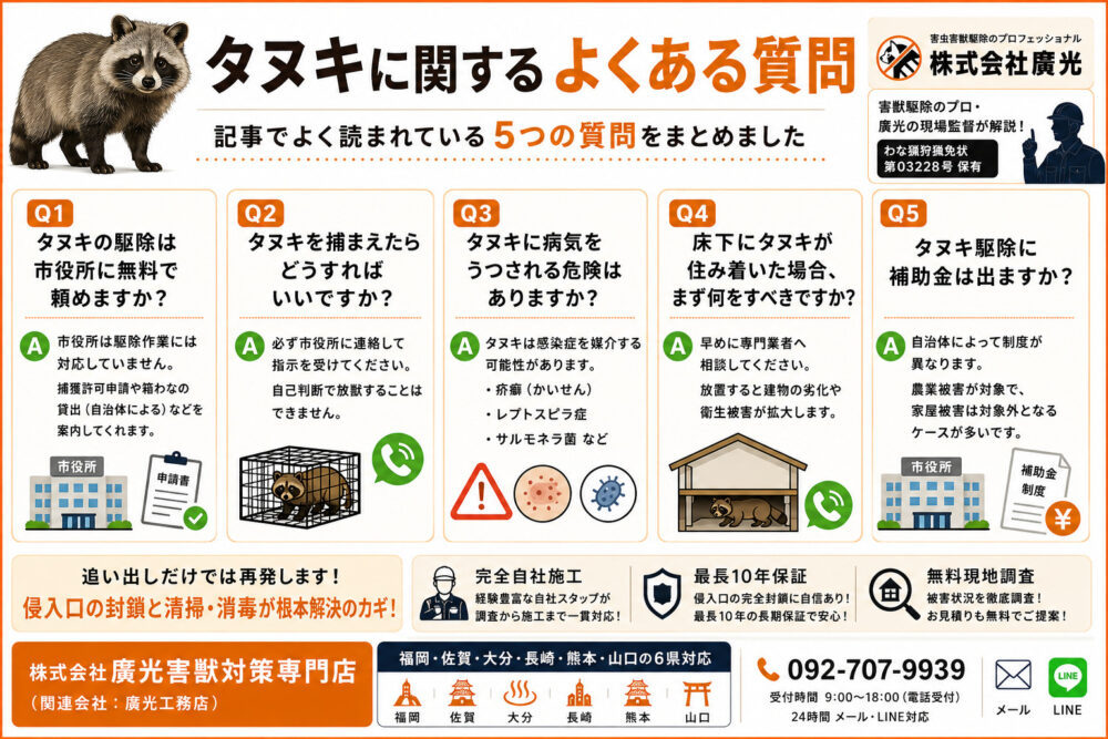 タヌキに関するよくある質問