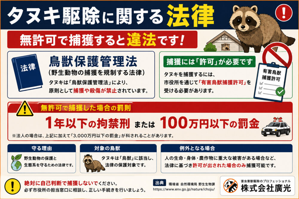 タヌキ駆除に関する法律｜無許可捕獲は違法です