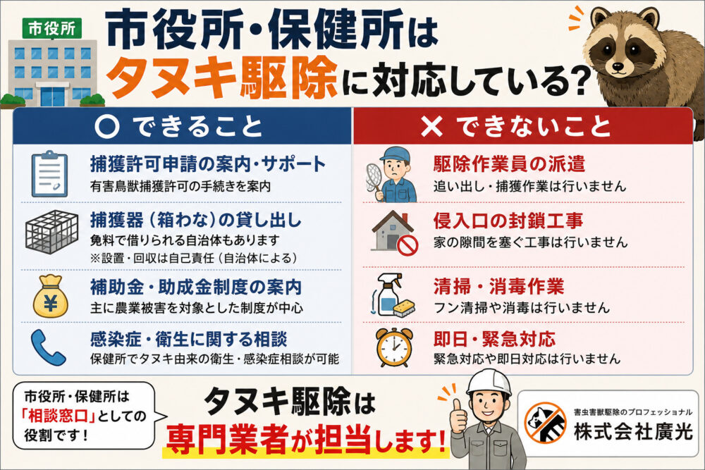 市役所・保健所はタヌキ駆除に対応している？できること・できないこと