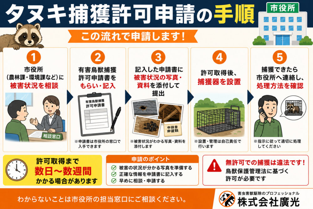 タヌキ捕獲許可申請の手順｜市役所への相談から許可取得まで