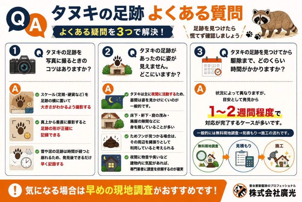 タヌキの足跡に関するよくある質問