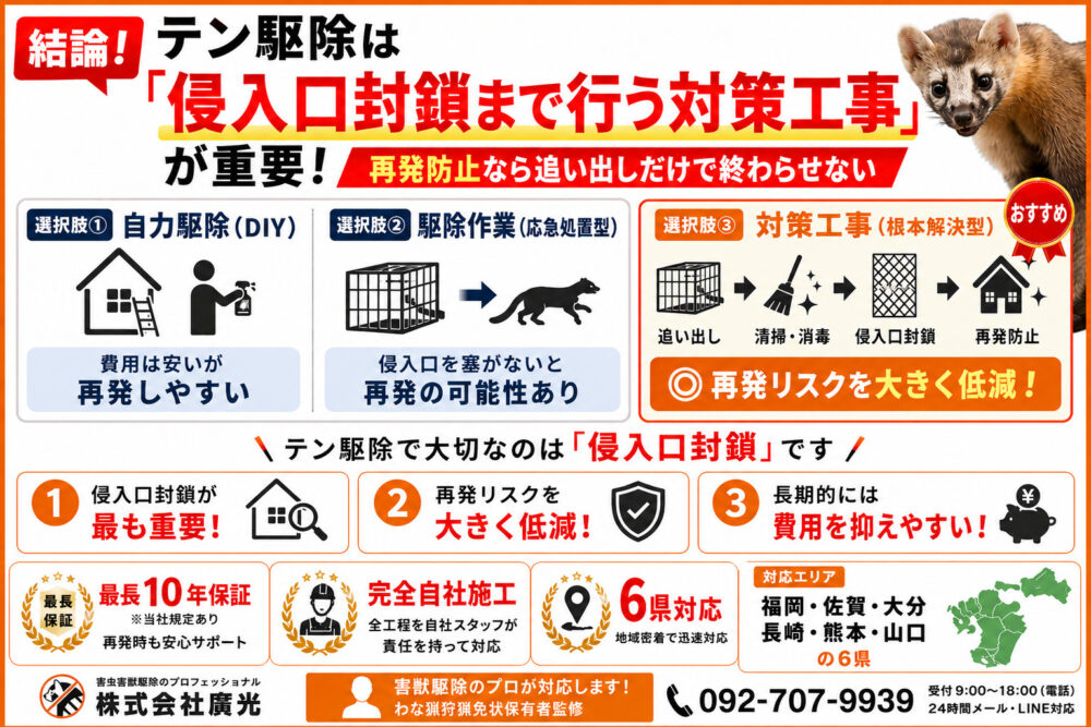 テン駆除の費用と3つの対策方法｜再発させない根本解決を解説