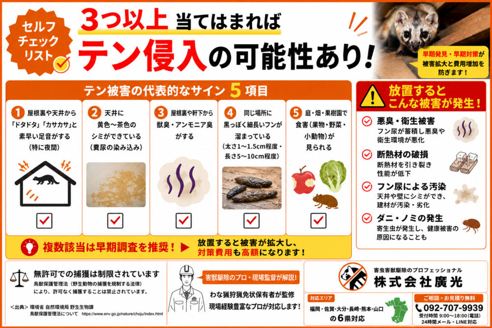 テン被害のサインと正しい対処法