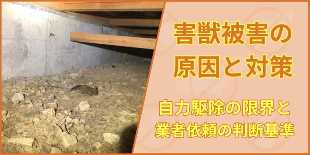害獣被害の原因と対策｜自力駆除の限界と業者依頼の判断基準