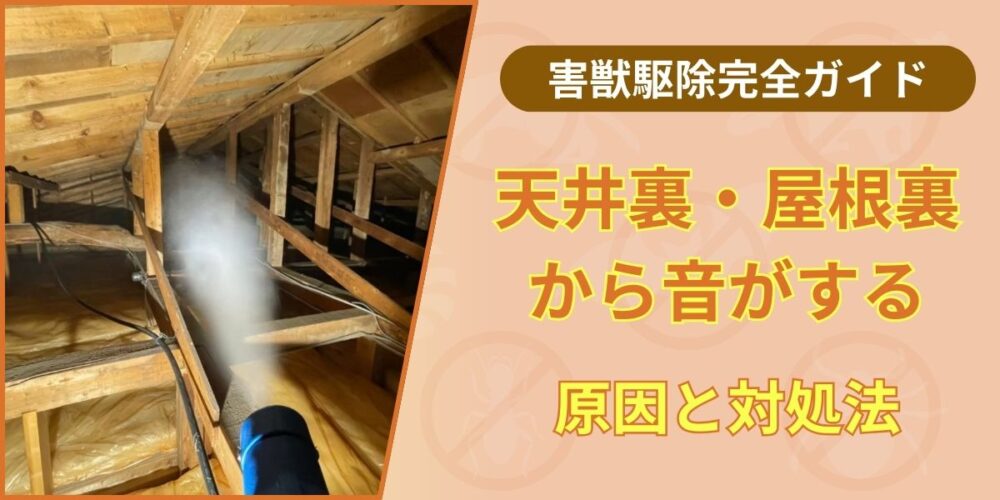 天井裏から音がする原因は害獣？音の種類で見分ける方法と駆除対策