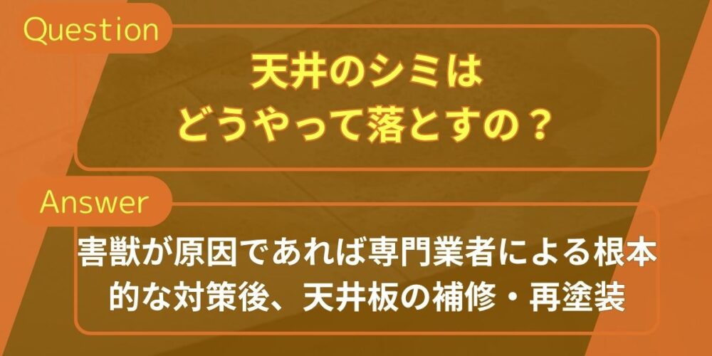 天井のシミはどうやって落とす