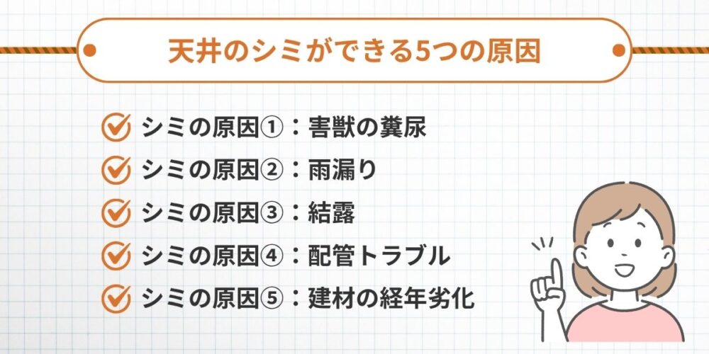 天井のシミができる5つの原因