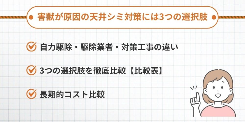 害獣原因 天井シミ対策