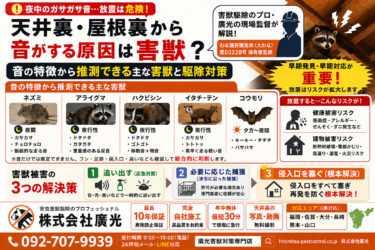 天井裏から音がする原因は害獣?音の種類で見分ける方法と駆除対策