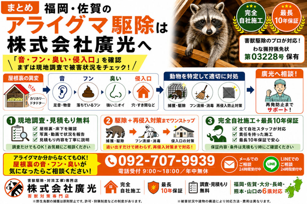 まとめ｜福岡・佐賀のアライグマ駆除は株式会社廣光害獣対策専門店へ