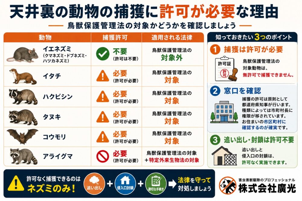 天井裏の動物の捕獲に許可が必要な理由|鳥獣保護管理法の基本