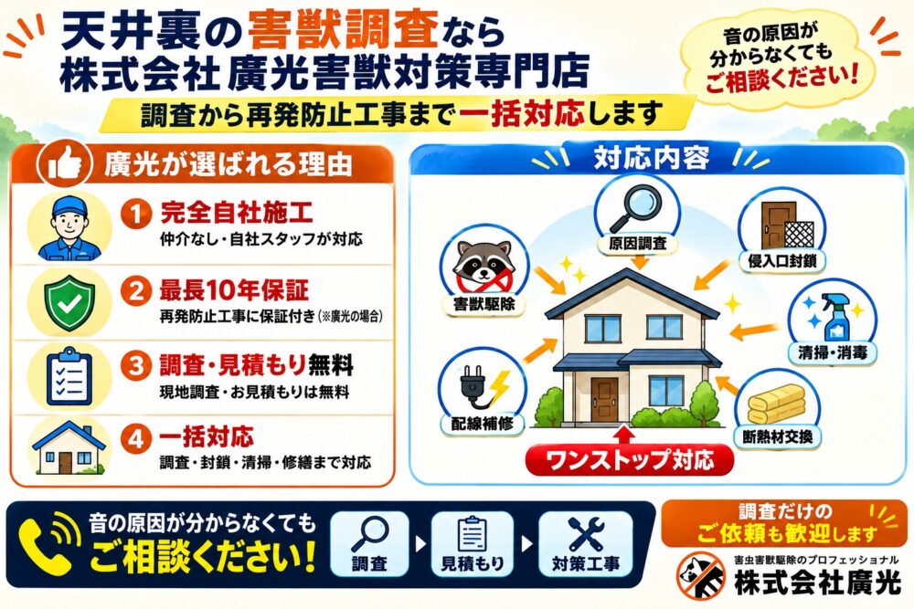 天井裏の調査なら廣光害獣対策専門店
