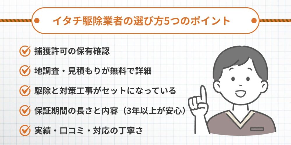 【失敗しない】北九州市でイタチ駆除業者を選ぶ5つのポイント