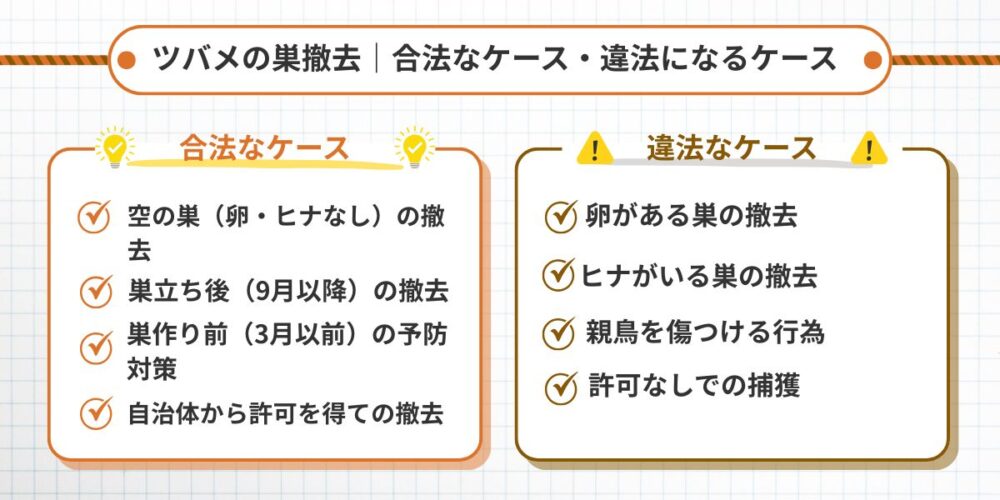 佐賀ツバメ‐合法/違法