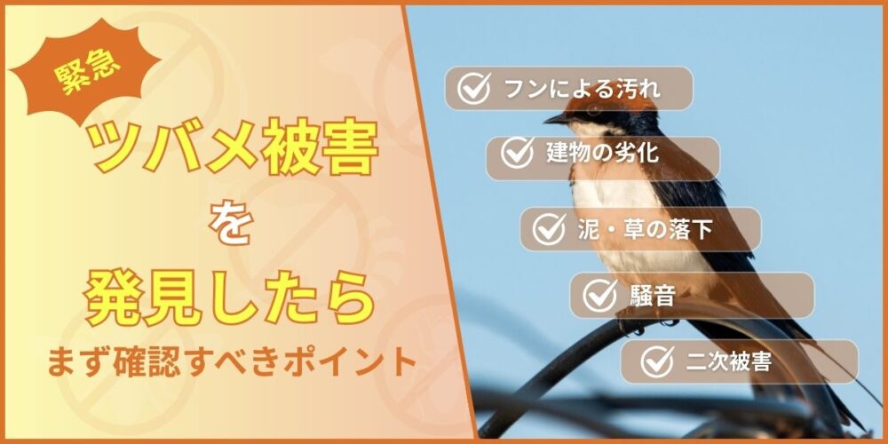 佐賀ツバメ‐被害の確認