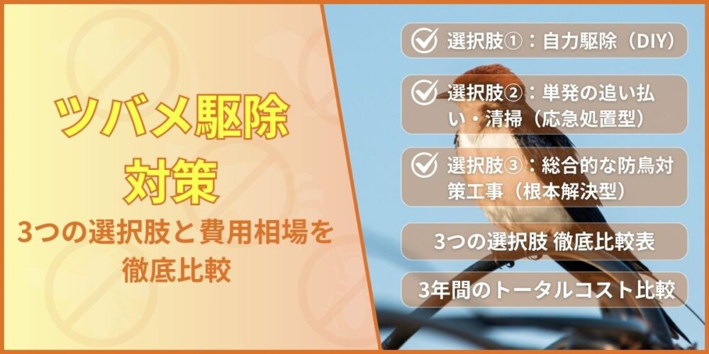 佐賀ツバメ‐3tの選択肢比較