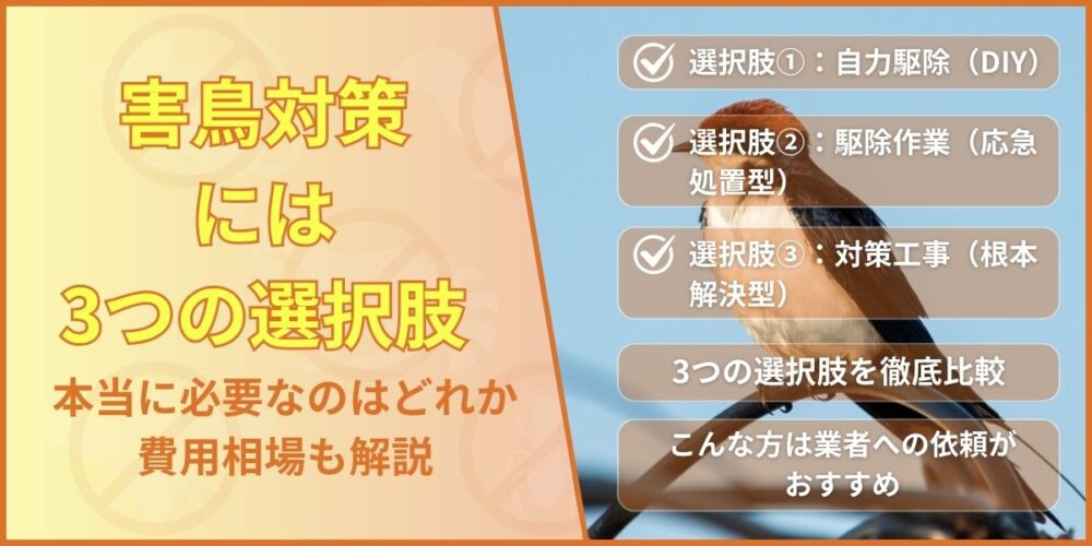 害鳥対策には3つの選択肢｜本当に必要なのはどれか費用相場も解説
