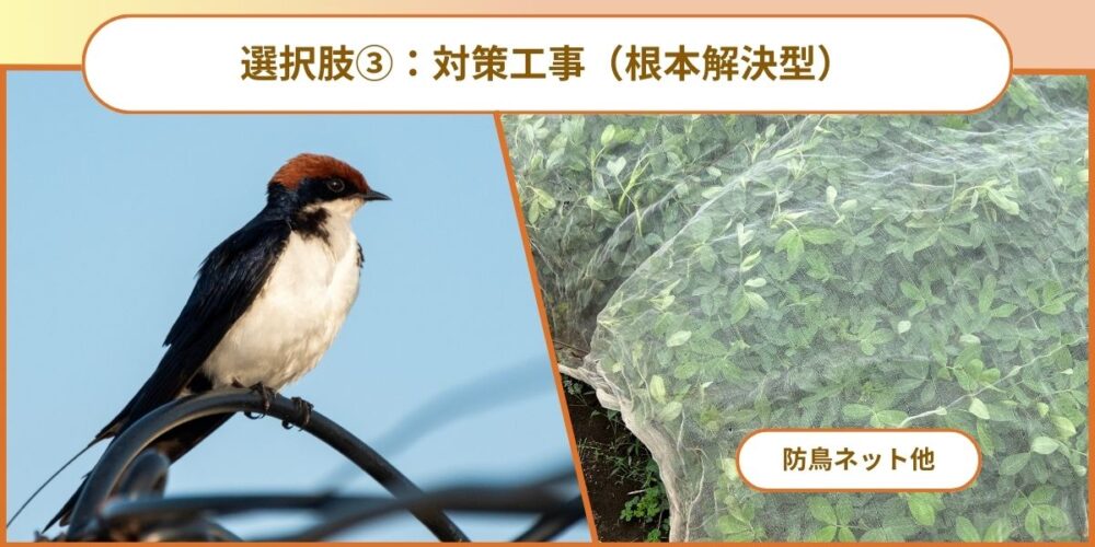 選択肢③：対策工事（根本解決型）★おすすめ
