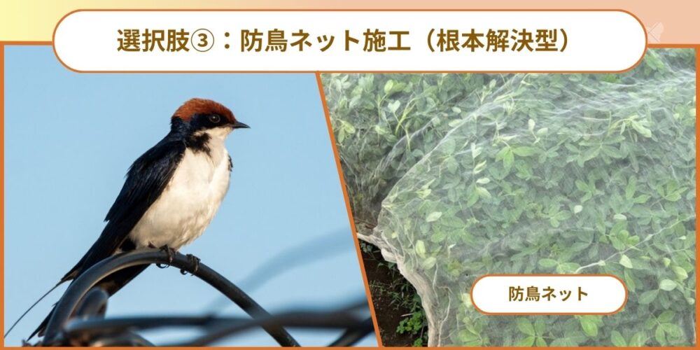 選択肢③：防鳥ネット施工（根本解決型）