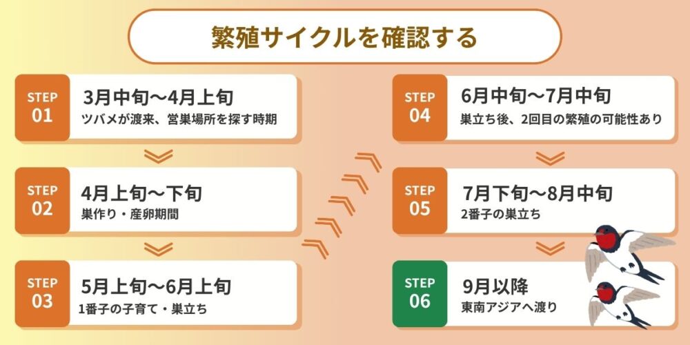 繁殖サイクル