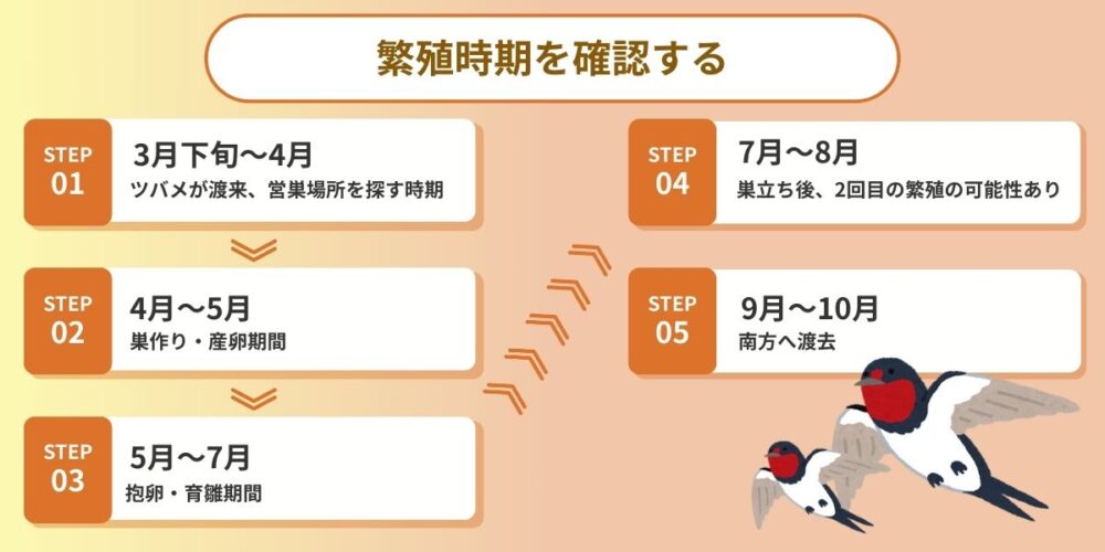 繁殖時期を確認する