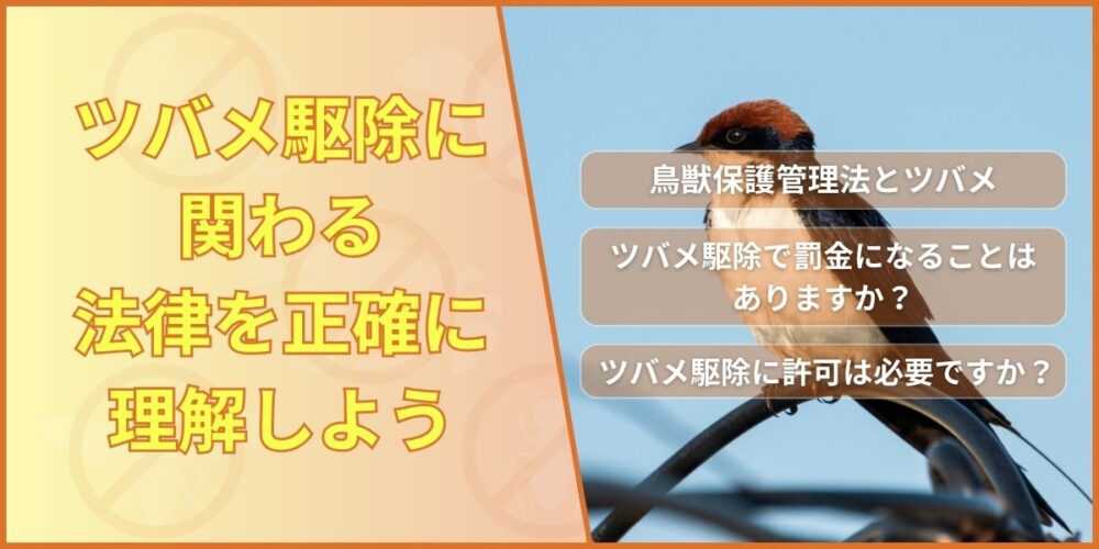 ツバメ駆除に関わる法律を正確に理解しよう
