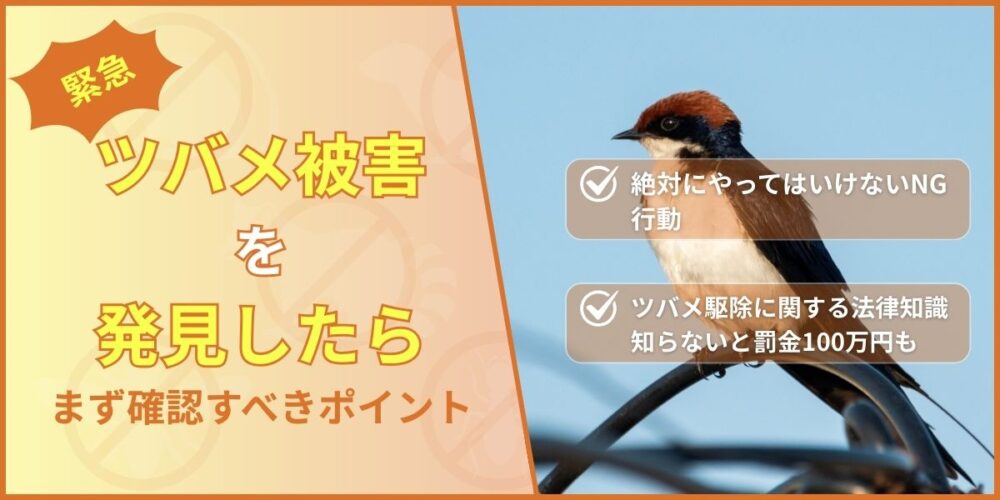 【緊急】唐津市でツバメ被害を発見したらまず確認すべきポイント