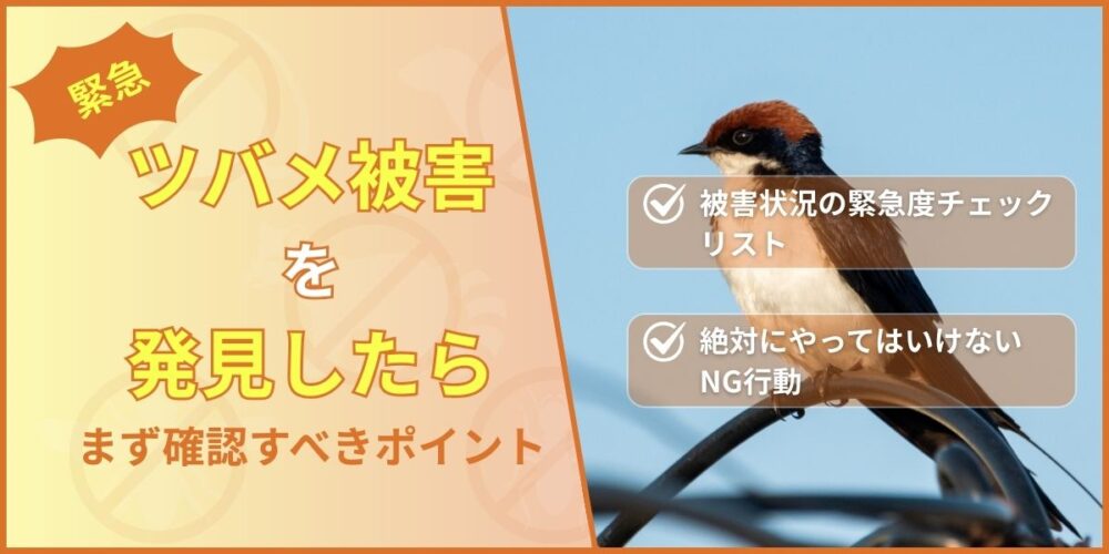【緊急】ツバメ被害を発見したらまず確認すべきポイント