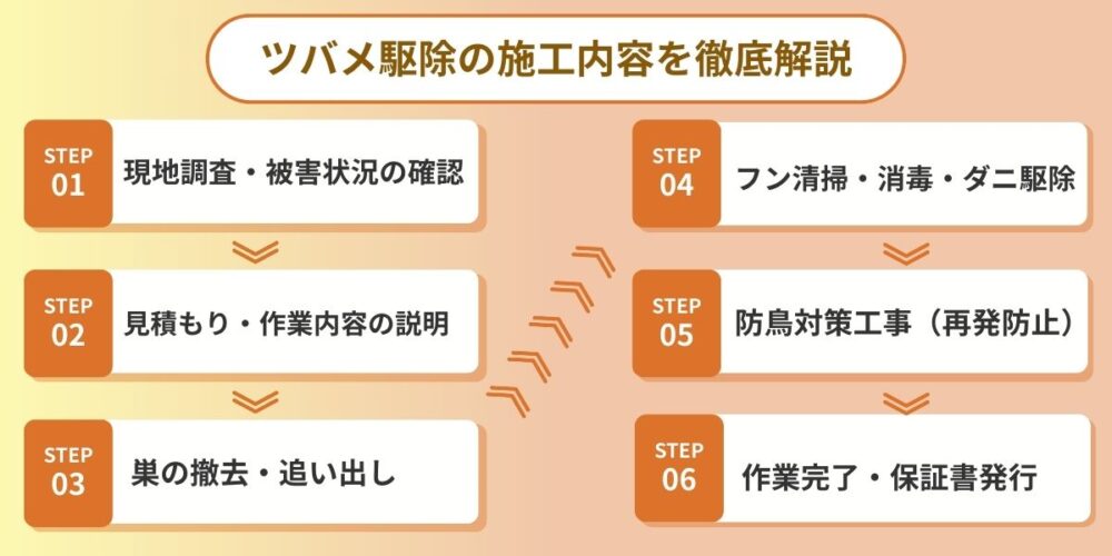 プロが行うツバメ駆除の施工内容を徹底解説
