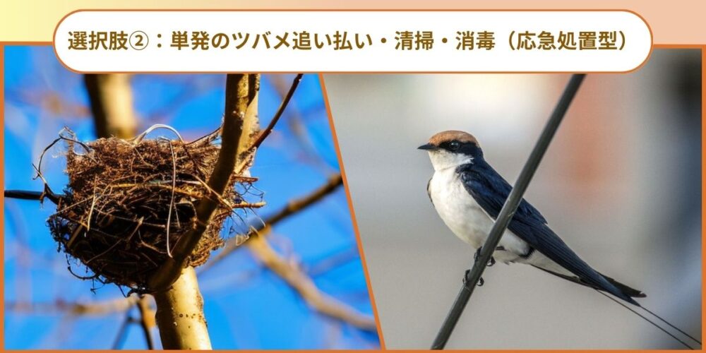 ツバメ駆除の応急処置型サービスイメージ