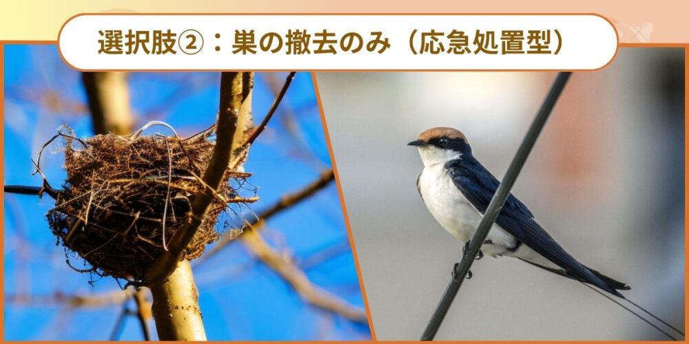 選択肢②：巣の撤去のみ（応急処置型）