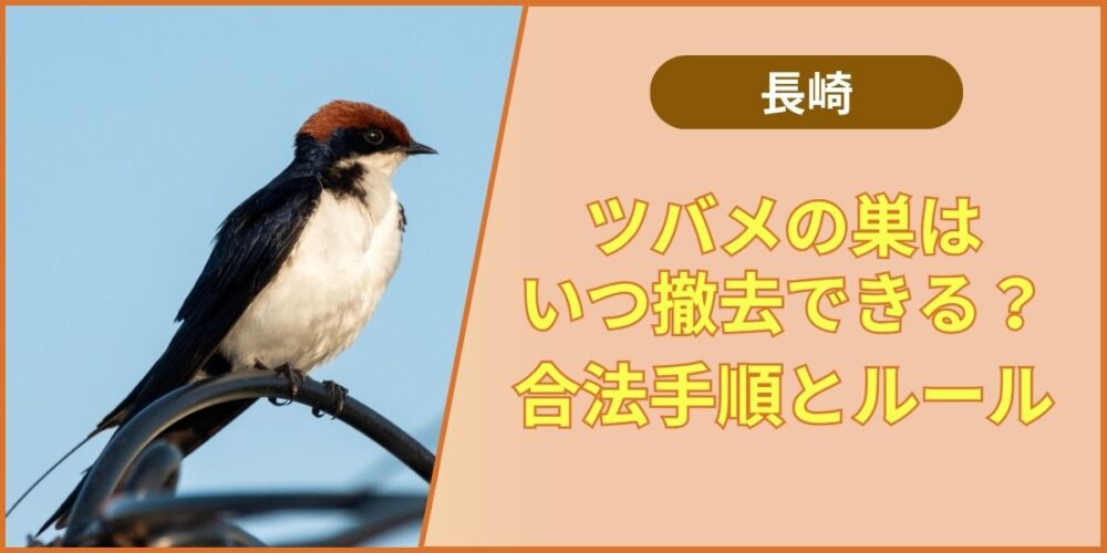 ツバメの巣の撤去のタイミングとルール