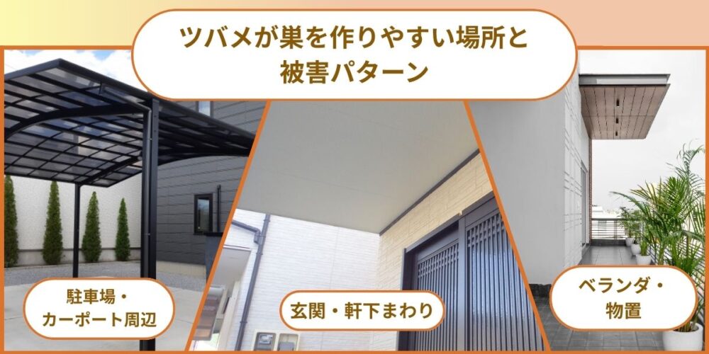 ツバメが巣を作りやすい場所と被害パターン
