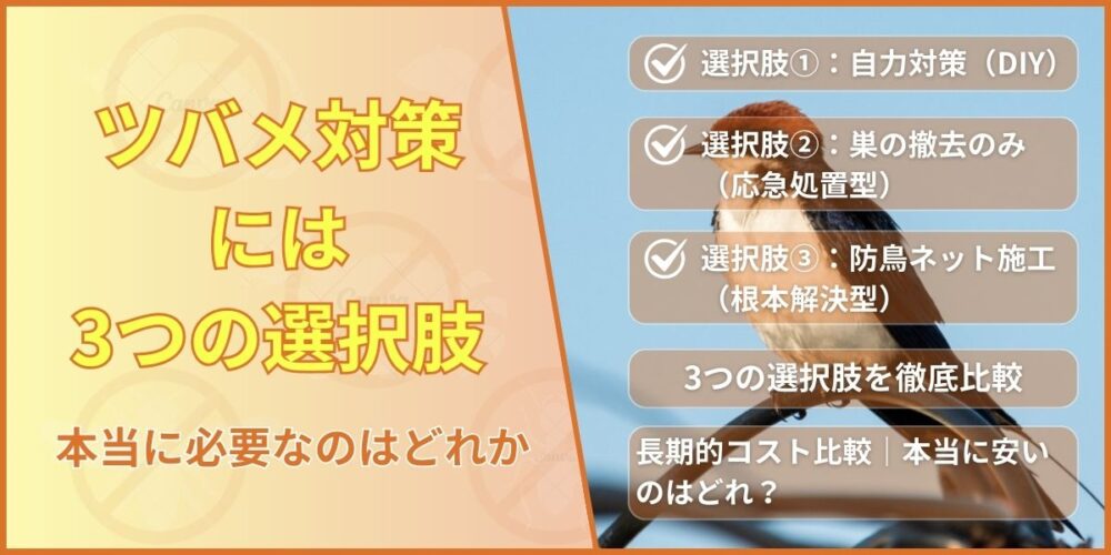 ツバメ対策には3つの選択肢｜本当に必要なのはどれか