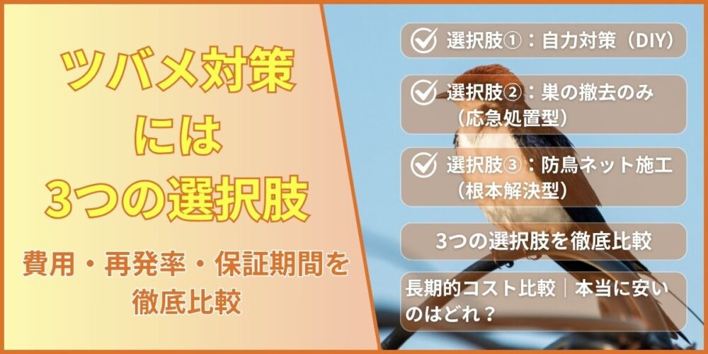 ツバメ対策には3つの選択肢