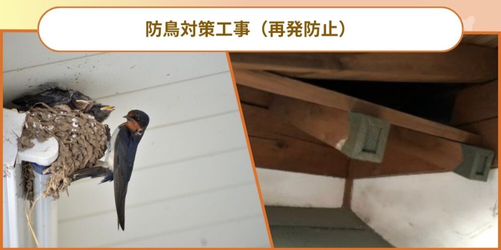 佐賀ツバメ‐対策工事