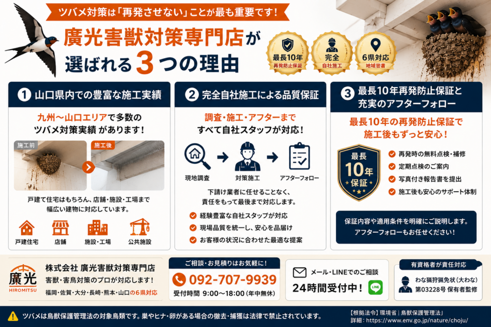 廣光　山口　ツバメ駆除
