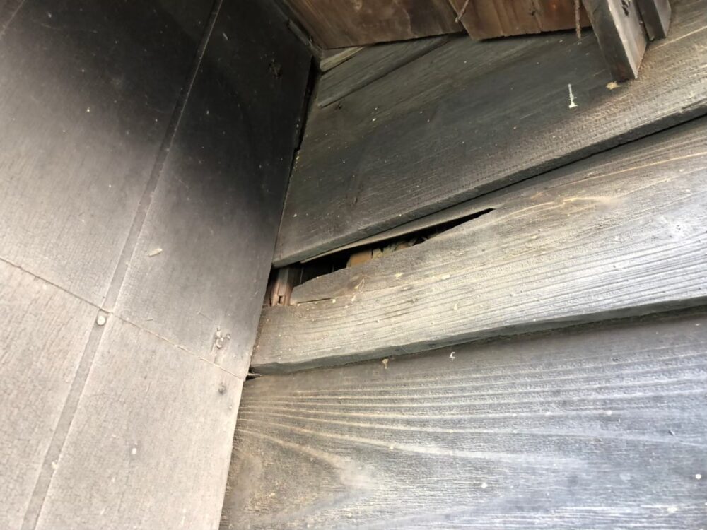 イタチによる被害　株式会社E　N様　駆除実績