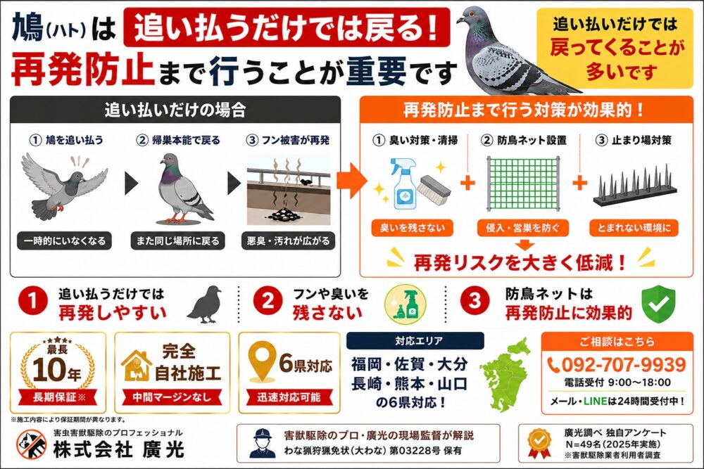ベランダの鳩（ハト）を撃退｜二度と来ない対策と自分でできる駆除方法