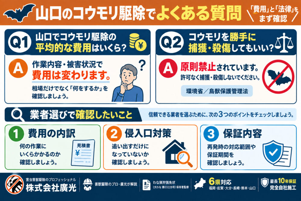 山口のコウモリ駆除でよくある質問