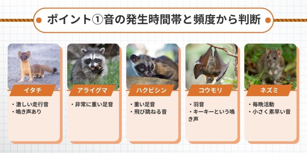 害獣 音の発生時間帯と頻度
