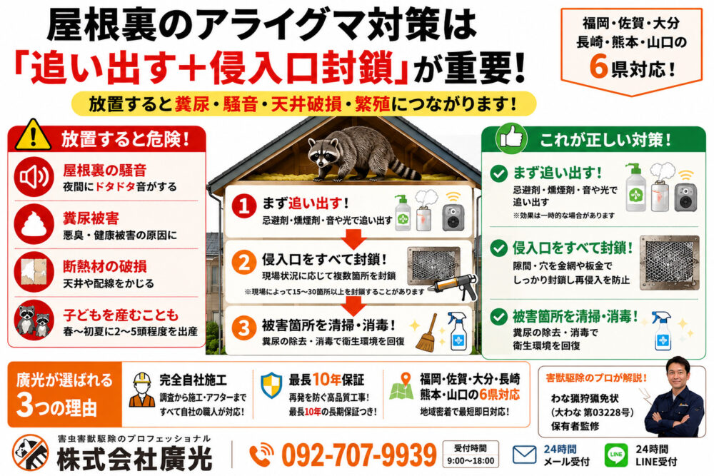 屋根裏のアライグマ対策｜侵入原因から駆除・再発防止まで